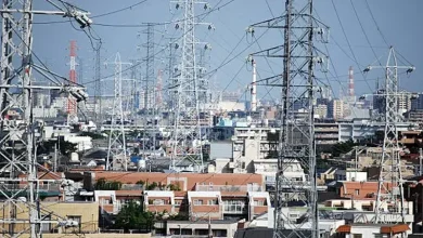 Tokyo Manages Urban Energy Demand Tokyo Manages Urban Energy Demand