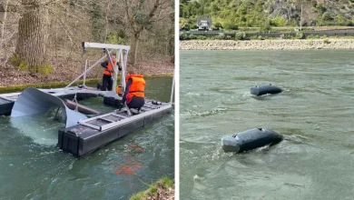 ‘EnergyFish Swarm ‘EnergyFish’ Swarm