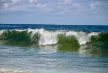 11 Foot Waves 11-Foot Waves