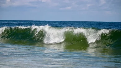 11 Foot Waves 11-Foot Waves