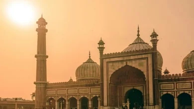 Delhi Delhi