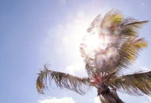 Fake Cool Breeze Fake Cool Breeze