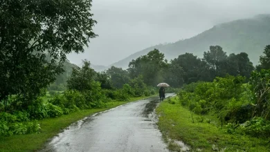 False Monsoon Signal False Monsoon Signal