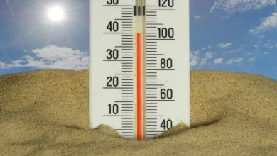 Heatwave Emergency Heatwave Emergency