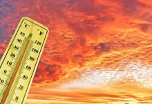 Heatwave Survival Guide 2026 Heatwave Survival Guide 2026