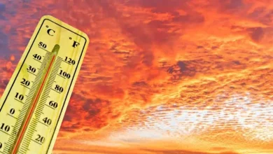 Heatwave Survival Guide 2026 Heatwave Survival Guide 2026