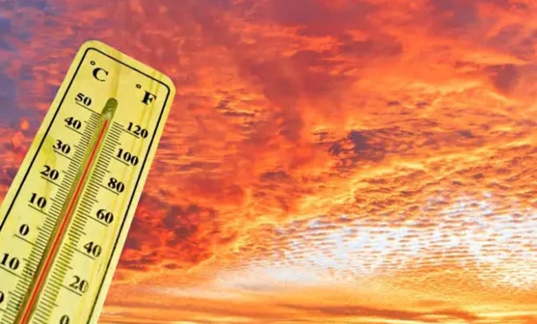 Heatwave Survival Guide 2026 Heatwave Survival Guide 2026