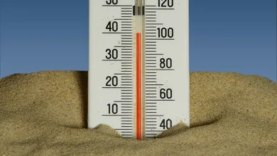 Heatwave Work Timings Heatwave Work Timings