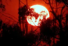 IMD Heatwave Alert 2026 IMD Heatwave Alert 2026