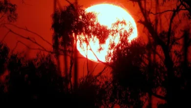 IMD Heatwave Alert 2026 IMD Heatwave Alert 2026