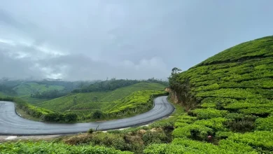 Monsoon Reaching Kerala Monsoon Reaching Kerala