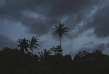 Monster cloud Warm Night Warning