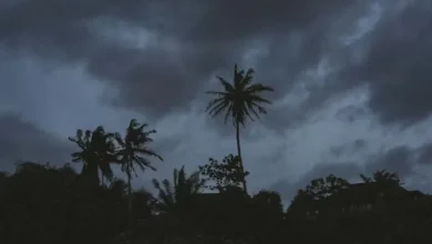 Monster cloud Monster cloud