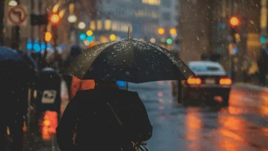 North India rain western disturbance update North India rain western disturbance update