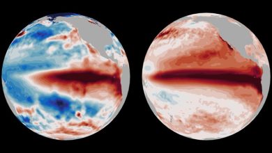Super El Nino 2026 Super El Niño 2026 India Risk