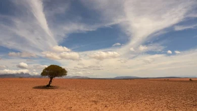 Super El Nino 2026 Super El Niño 2026