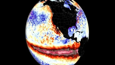 Super El Nino Is Predicting Record Breaking Heatwaves Super El Niño Is Predicting Record-Breaking Heatwaves