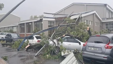 The southeastern regions of South Africa South Africa Flood Disaster
