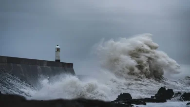 Typhoon Season Starts Today 2026 Typhoon Season