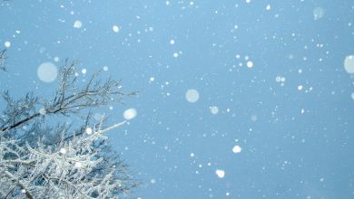 Zojila Pass Sonamarg snowfall travel advisory Zojila Pass Sonamarg snowfall travel advisory
