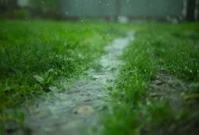 ‘False Monsoon Effect ‘False Monsoon’ Effect