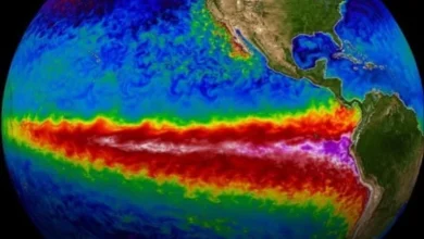 El Nino 37 El Niño