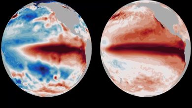 El Nino vs. Super El Nino El Niño vs. Super El Niño