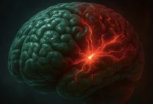 Extreme Heat Affects Your Brain Focus Extreme Heat Affects Your Brain Focus