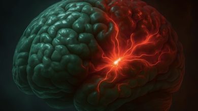Extreme Heat Affects Your Brain Focus Extreme Heat Affects Your Brain Focus