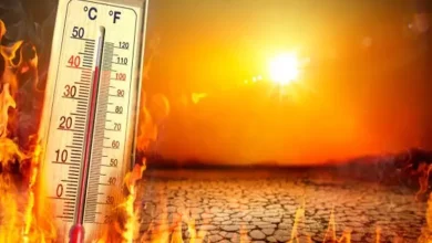IMD Heatwave Alert IMD Heatwave Alert
