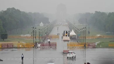 Indias Monsoon Arrive on Time India's Monsoon Arrive on Time