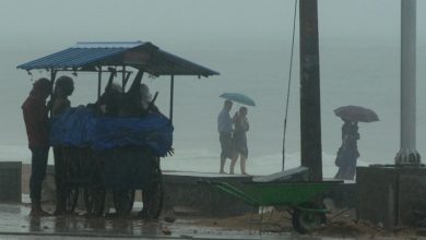 Monsoon Reaches Kerala Monsoon Reaches Kerala