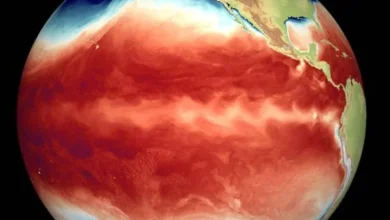 NASA Confirms Super El Nino Has Begun NASA Confirms 'Super El Niño' Has Begun