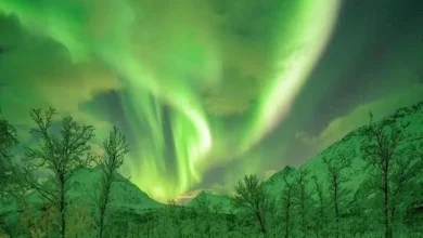 Northern Lights in India Tonight Northern Lights in India Tonight