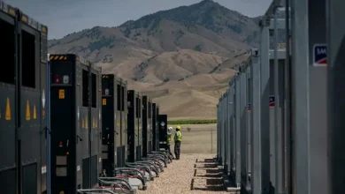 Power Grid Inefficiency This Summer Power Grid Inefficiency This Summer
