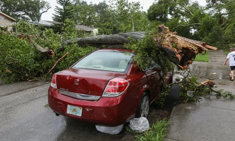 Tree Falls on Car in Monsoon Tree Falls on Car in Monsoon