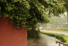 Untitled design 2026 06 05T204057.376 Monsoon Tracker June 5