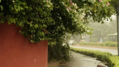 Untitled design 2026 06 05T204057.376 Monsoon Tracker June 5