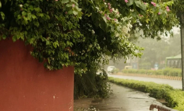 Untitled design 2026 06 05T204057.376 Monsoon Tracker June 5