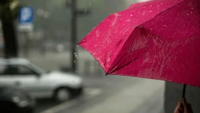 Untitled design 2026 06 05T212929.915 IMD Rain Alert