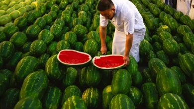 Watermelon Watermelon