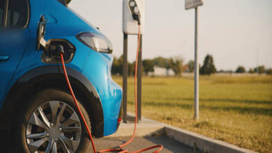 istockphoto 2219502672 612x612 1 Heatwave EV Battery Performance