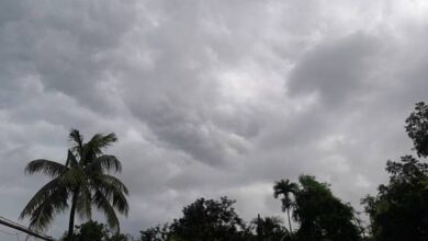 istockphoto 2224127031 612x612 1 Monsoon vs Super El Niño Heatwave