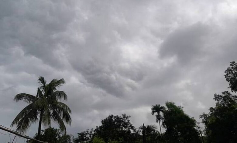 istockphoto 2224127031 612x612 1 Monsoon vs Super El Niño Heatwave
