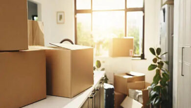 istockphoto 2224510242 612x612 2 Keep Top Floor Flat Cool Without AC: Simple DIY Cooling Tricks
