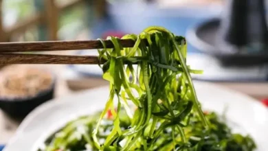 Algae Foods Algae Foods
