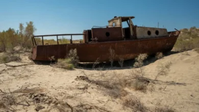 Aral Sea Carbon Bomb Aral Sea Carbon Bomb