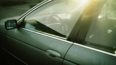Car During a Heatwave Things Never Leave in a Car During a Heatwave