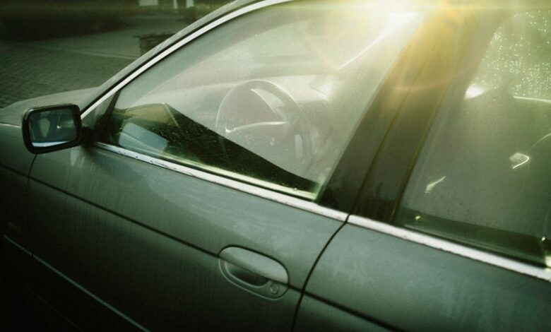 Things Never Leave in a Car During a Heatwave