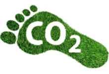 Carbon Footprint of Beef vs Chicken vs Tofu Carbon Footprint of Beef vs Chicken vs Tofu